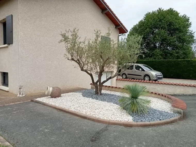 Réaménagement et plantation d'un olivier chez un particulier à Chatte , Chatte, Stéphane Bousson Paysagiste