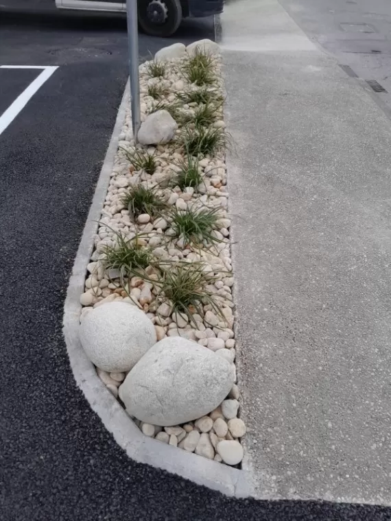 aménagement d'un premier massif avec plantation de carex tout en restant dans le minéral avec les galets variés