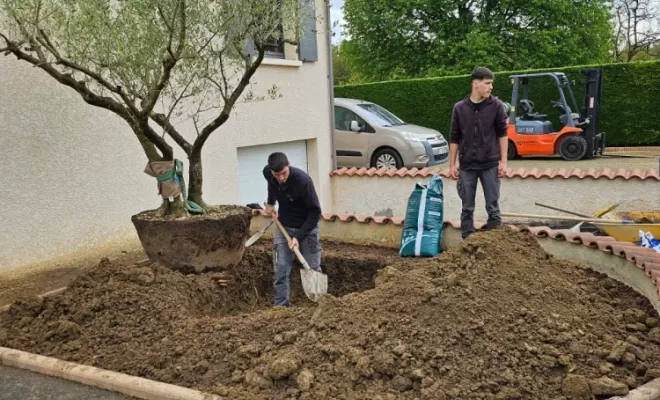 Réaménagement et plantation d'un olivier chez un particulier à Chatte , Chatte, Stéphane Bousson Paysagiste