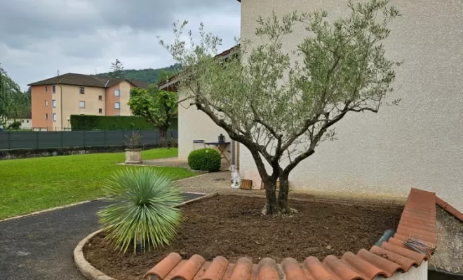 Réaménagement et plantation d'un olivier chez un particulier à Chatte , Chatte, Stéphane Bousson Paysagiste
