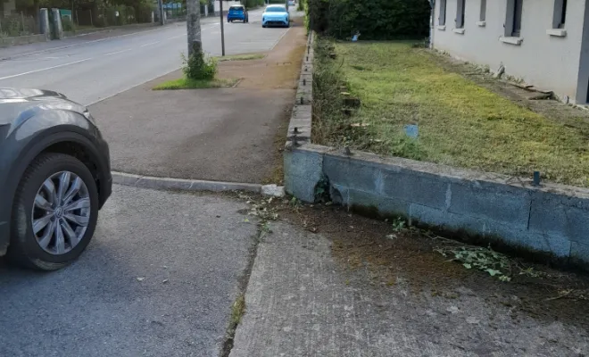 finition de l'arrachage pour dégagé la murette avant le passage du karsher pour nettoyer la murette et permettre sa rénovation